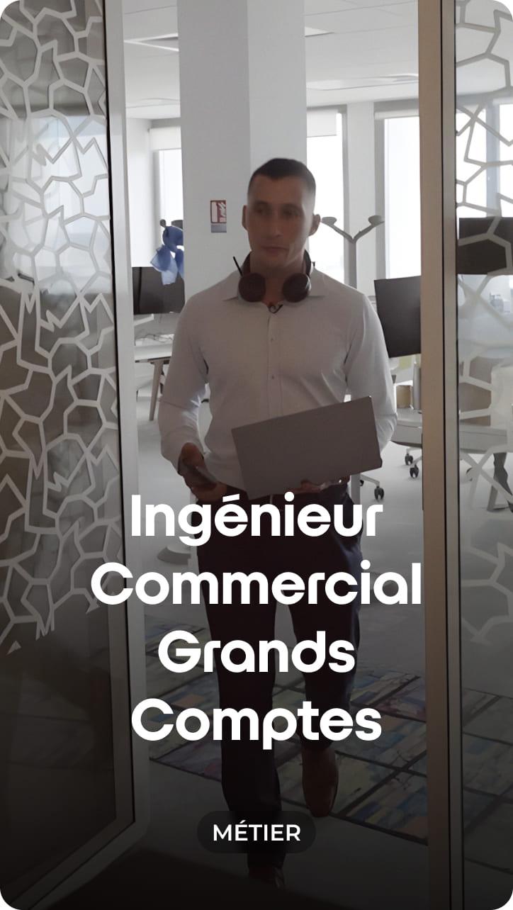 ìngénieur commercial Grands Comptes
